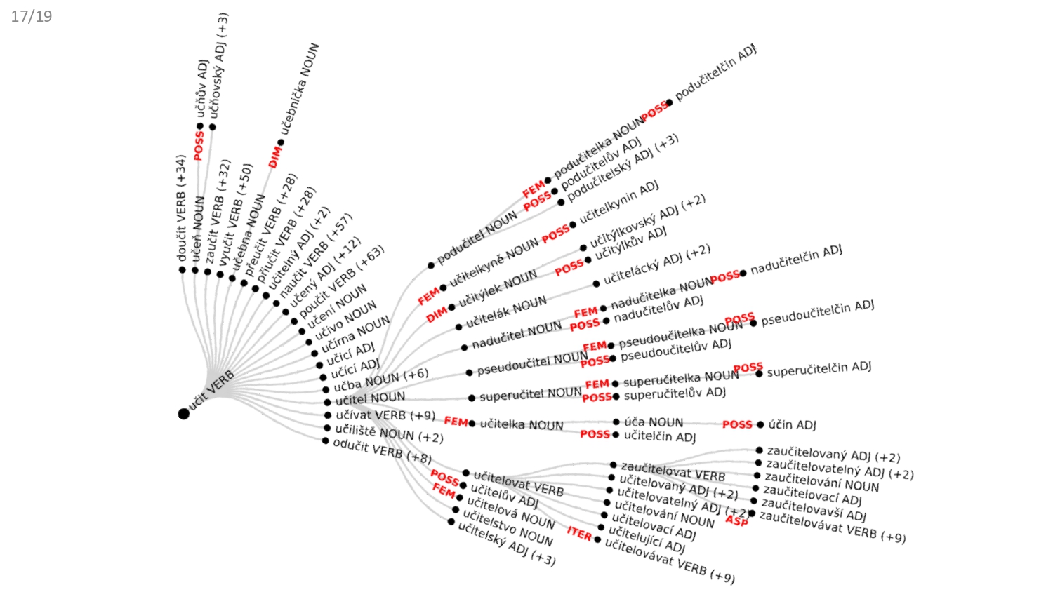 Title slide of Introducing Semantic Labels into the DeriNet Network